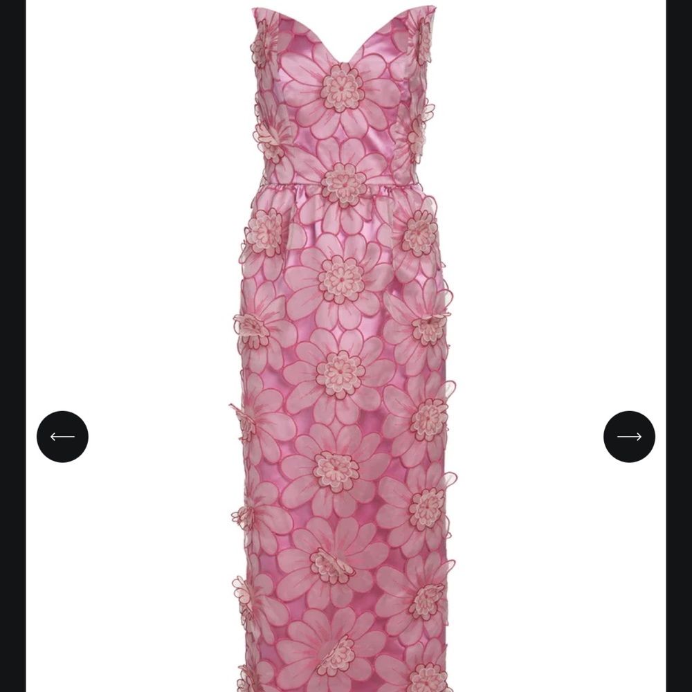Markarian Marina Pink Floral Appliqued Silk Blend Gown
